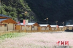 图为甘南州新建设的生态文明小康村。　钟欣　摄 - 甘肃新闻