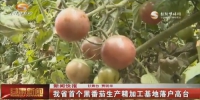 甘肃省首个黑番茄生产精加工基地落户高台 - 甘肃省广播电影电视