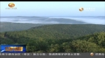 庆阳：4年造林414万亩实现苗木产值111亿元 - 甘肃省广播电影电视