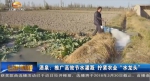 酒泉：推广高效节水灌溉 拧紧农业“水龙头” - 甘肃省广播电影电视