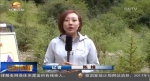【环保整改进行时】榆中：立行立改 严守林地保护红线 - 甘肃省广播电影电视