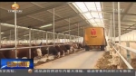 临夏：现代生态农牧业带动群众增收致富 - 甘肃省广播电影电视