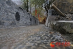 【领航新征程】舟曲土桥子村：党员引领 打造“葡萄庄园”的美丽藏乡（图） - 中国甘肃网