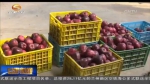 甘肃：转变销售理念 小苹果畅行大市场 - 甘肃省广播电影电视