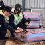 11月29日，在深圳盐田港，海关关员查看缴获的走私穿山甲鳞片。 - 人民网