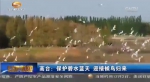 高台：保护碧水蓝天 迎接候鸟归来 - 甘肃省广播电影电视