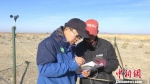 图为安西极旱荒漠国家级自然保护区工作人员采集普氏野马数据。　郑晓龙 摄 - 甘肃新闻