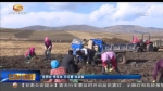 岷县：农业机械化加快推动群众致富步伐 - 甘肃省广播电影电视
