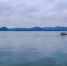 冬日西湖呈现“多彩画卷” - 人民网