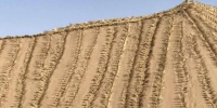 　沙漠丘陵的“草沙障”。　闫姣 摄 - 甘肃新闻