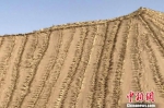 　沙漠丘陵的“草沙障”。　闫姣 摄 - 甘肃新闻