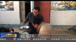 【走基层】老曹和他的啤特果 - 甘肃省广播电影电视