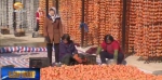 ​泾川：“农业+旅游”打造致富梦 - 甘肃省广播电影电视