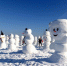 （社会）（4）2018个雪人亮相哈尔滨 - 人民网