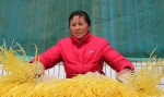 江苏海安：韭黄助力农民增收 - 中国甘肃网