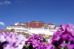 西藏实行特殊优惠力推“冬游西藏”  - 中国甘肃网