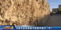 【新春走基层】戈壁农业在探索与实践中前行（中） - 甘肃省广播电影电视