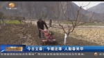 今日立春：乍暖还寒 人勤春来早 - 甘肃省广播电影电视