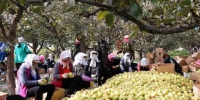 资料图。图为在甘肃张掖老寺庙农场里，工人们将刚刚采摘的苹果梨进行精选、包装。　钟欣 摄 - 甘肃新闻