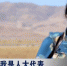 【我是人大代表】旦正草：草原上的好曼巴 - 甘肃省广播电影电视