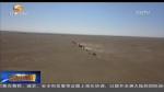 敦煌西湖自然保护区首现野骆驼大种群 - 甘肃省广播电影电视