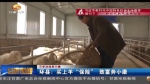 【三年决战奔小康】环县：买上羊“保险”  致富奔小康 - 甘肃省广播电影电视