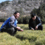 3月上旬，林木育苗员张小峰(左)和他的儿子张旭忙碌在露天苗圃地里。　杨艳敏 摄 - 甘肃新闻