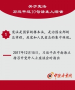 图解：关于宪法 习近平这10句话发人深省↓↓↓ - 中国甘肃网