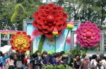 香港：又到一年赏花时 - 中国甘肃网