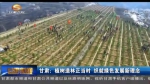 甘肃：植树造林正当时  织就绿色发展新理念 - 甘肃省广播电影电视