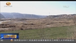 记者观察：看看金鸡产业扶贫的含金量 - 甘肃省广播电影电视