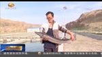 景泰：盐碱荒洼变渔业基地　群众致富有门路 - 甘肃省广播电影电视