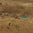 图为从空中俯瞰治沙场景，被一望无际的草方格整齐分割的沙丘，披着“绿装”连绵起伏地伸向大漠深处。　杨艳敏 摄 - 甘肃新闻
