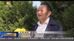 文明祭扫  保护生态 - 甘肃省广播电影电视