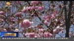 兰州降雪重披银装  清明踏青观雪赏景 - 甘肃省广播电影电视