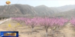 春和景明好时光 踏青旅游正当时 - 甘肃省广播电影电视