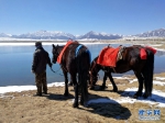 甘肃山丹马场浴春雪 碧空如洗湖如镜 - 中国甘肃网