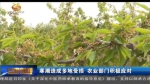 ​寒潮造成多地受损 农业部门积极应对 - 甘肃省广播电影电视