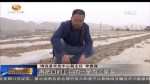 ​寒潮造成多地受损 农业部门积极应对 - 甘肃省广播电影电视