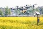 无人机提效率防虫害 - 中国甘肃网