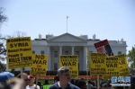 美国民众集会抗议对叙利亚进行军事打击 - 人民网