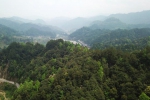 佛顶山：126名生态护林员全部从贫困户中产生 - 中国甘肃网