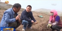 和政：土地流转“地生金” 产业扶持通经脉 - 甘肃省广播电影电视