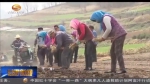 和政：土地流转“地生金” 产业扶持通经脉 - 甘肃省广播电影电视