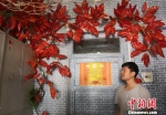 图为兰州理工大学学生利用“枫叶”和树藤装扮宿舍。　刘玉桃 摄 - 甘肃新闻