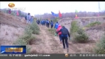 全民行动 植树造林美家园 - 甘肃省广播电影电视