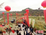 4月25日，第三届高原梨花旅游节开幕式在甘肃省临夏回族自治州和政县举行。　闫姣 摄 - 甘肃新闻