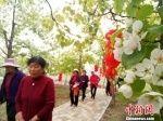 当日，来自和政县周边的数千游客和摄影爱好者齐聚15亩梨园之上共赏美景。　闫姣 摄 - 甘肃新闻