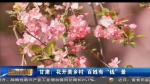 甘肃：花开美乡村 百姓有“钱”景 - 甘肃省广播电影电视