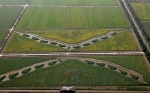 上海：油菜花地绘就“海上丝绸之路” - 中国甘肃网